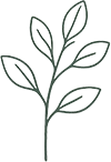 blomma